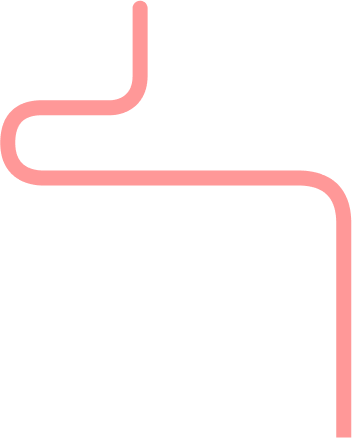 Vector